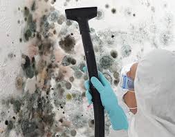 Best Residential Mold Inspection & Testing  in Coeur Dalene, ID